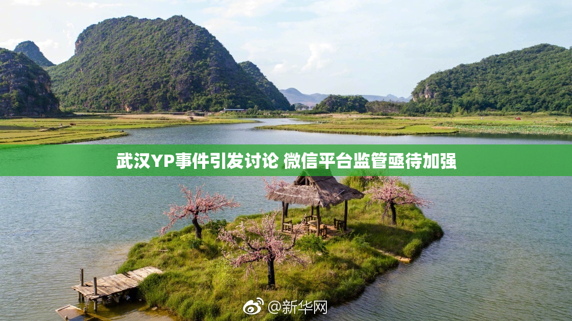 武汉YP事件引发讨论 微信平台监管亟待加强
