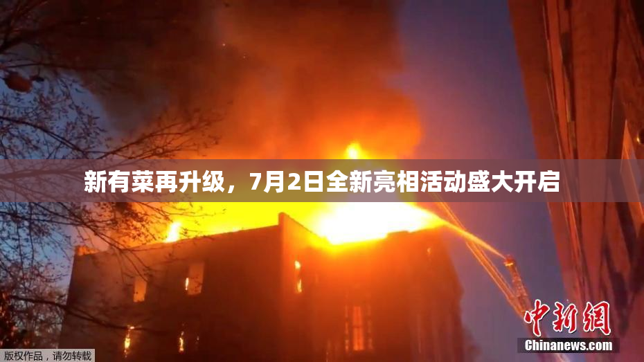 新有菜再升级，7月2日全新亮相活动盛大开启