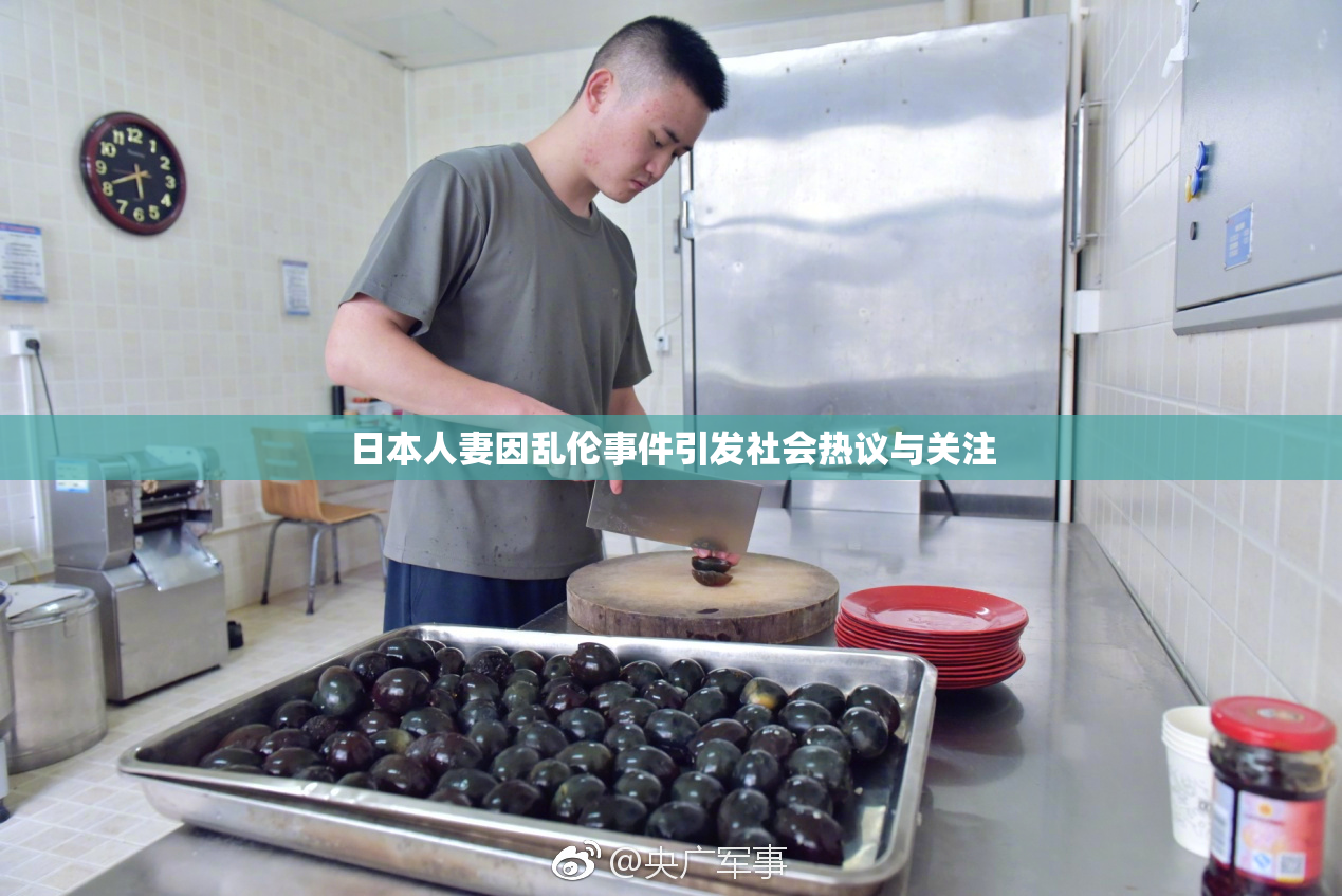 日本人妻因乱伦事件引发社会热议与关注