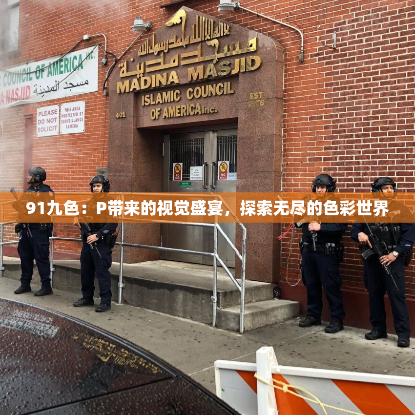 91九色：P带来的视觉盛宴，探索无尽的色彩世界