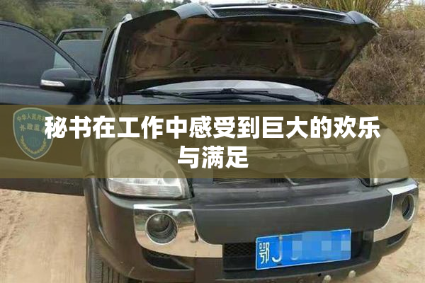 秘书在工作中感受到巨大的欢乐与满足