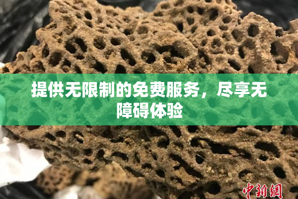 提供无限制的免费服务，尽享无障碍体验