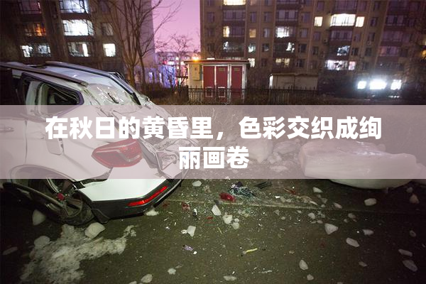 在秋日的黄昏里，色彩交织成绚丽画卷