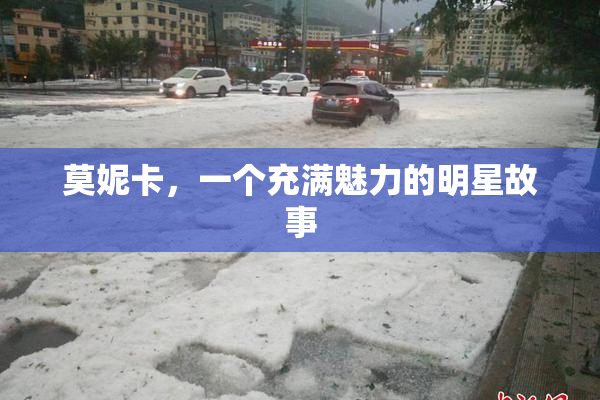 莫妮卡，一个充满魅力的明星故事