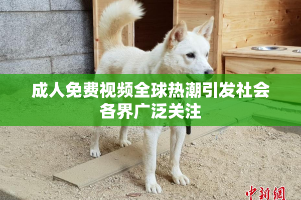 成人免费视频全球热潮引发社会各界广泛关注