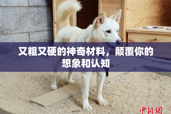 又粗又硬的神奇材料，颠覆你的想象和认知
