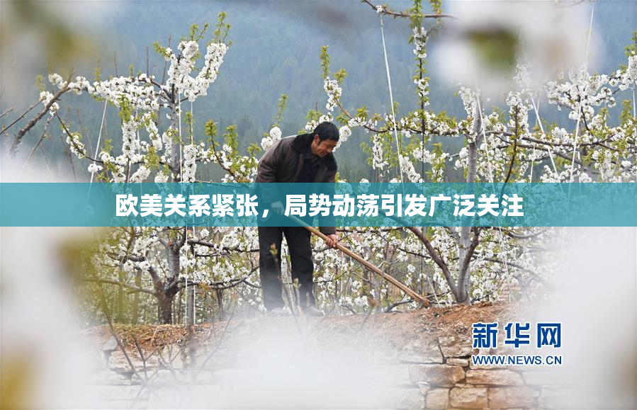 欧美关系紧张，局势动荡引发广泛关注