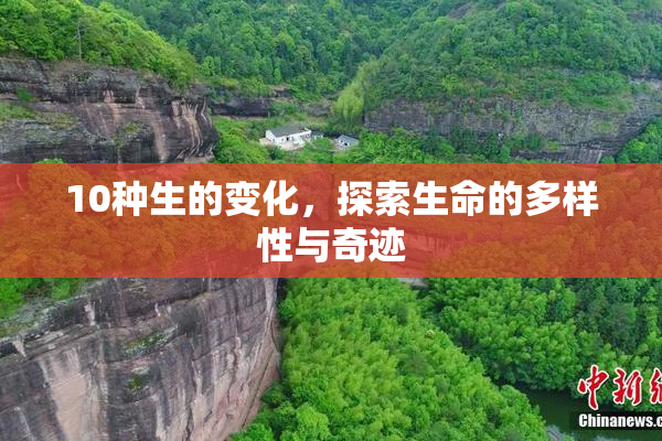 10种生的变化，探索生命的多样性与奇迹