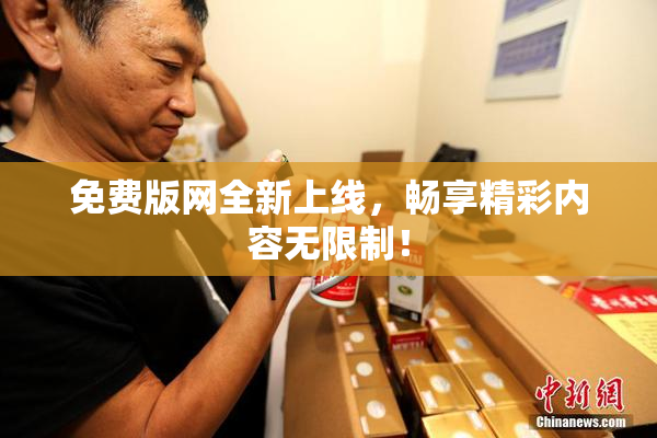 免费版网全新上线，畅享精彩内容无限制！