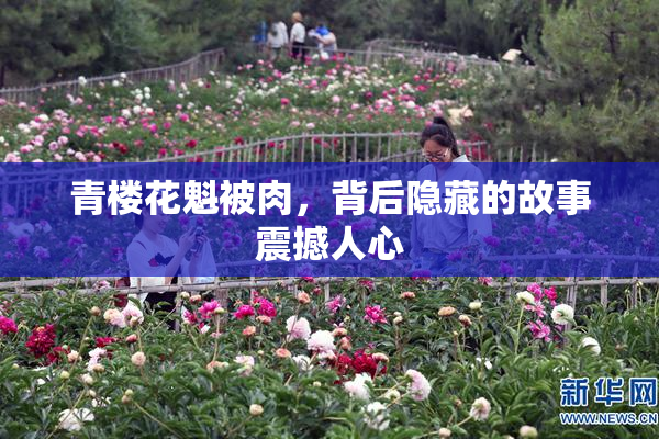 青楼花魁被肉，背后隐藏的故事震撼人心