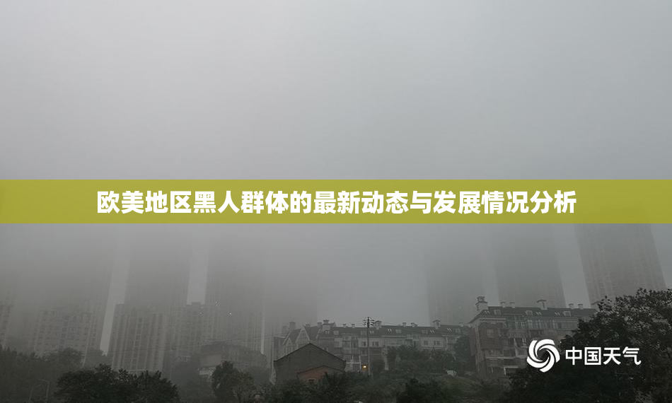 欧美地区黑人群体的最新动态与发展情况分析