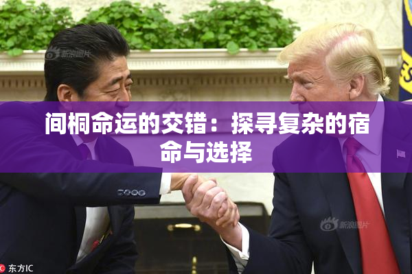 间桐命运的交错：探寻复杂的宿命与选择