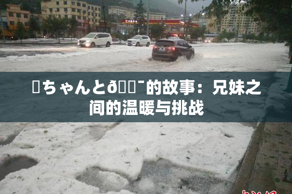 姉ちゃんと🔯的故事：兄妹之间的温暖与挑战