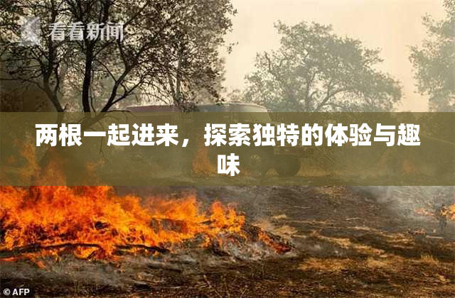 两根一起进来，探索独特的体验与趣味