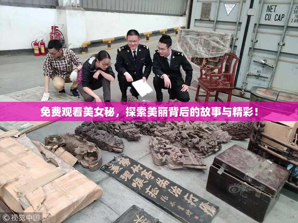 免费观看美女秘，探索美丽背后的故事与精彩！