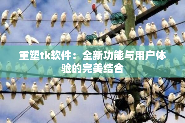 重塑tk软件：全新功能与用户体验的完美结合