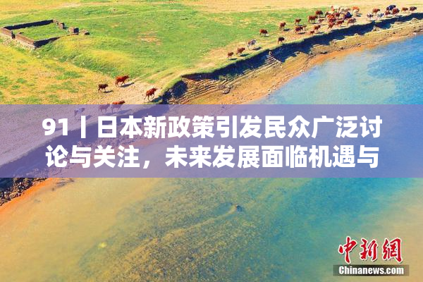 91丨日本新政策引发民众广泛讨论与关注，未来发展面临机遇与挑战