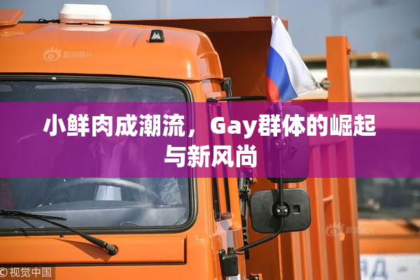 小鲜肉成潮流，Gay群体的崛起与新风尚