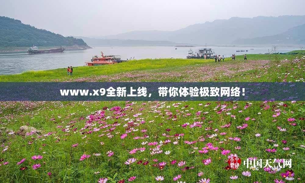 www.x9全新上线，带你体验极致网络！