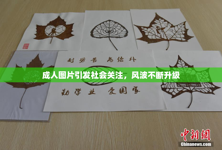 成人图片引发社会关注，风波不断升级