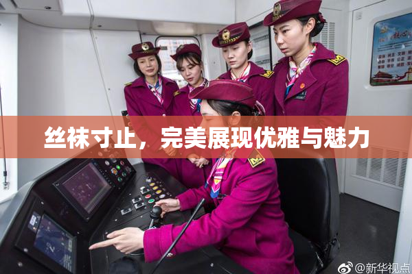 丝袜寸止，完美展现优雅与魅力