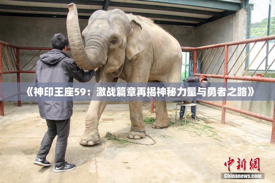 《神印王座59：激战篇章再揭神秘力量与勇者之路》