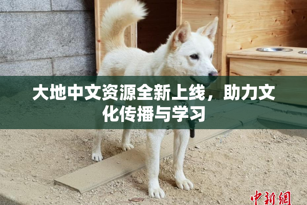 大地中文资源全新上线，助力文化传播与学习