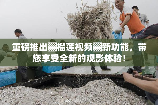 重磅推出▓榴莲视频▓新功能，带您享受全新的观影体验！