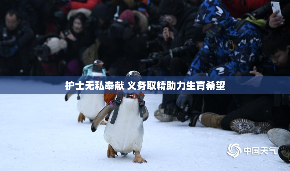 护士无私奉献 义务取精助力生育希望