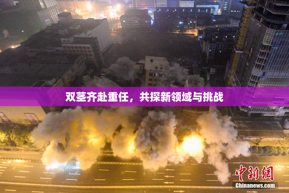 双茎齐赴重任，共探新领域与挑战