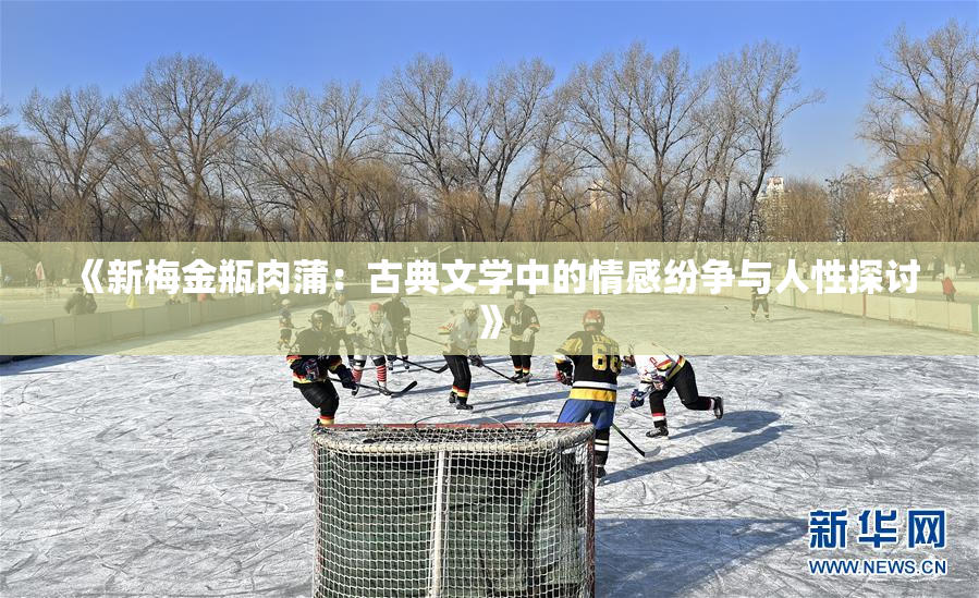 《新梅金瓶肉蒲：古典文学中的情感纷争与人性探讨》
