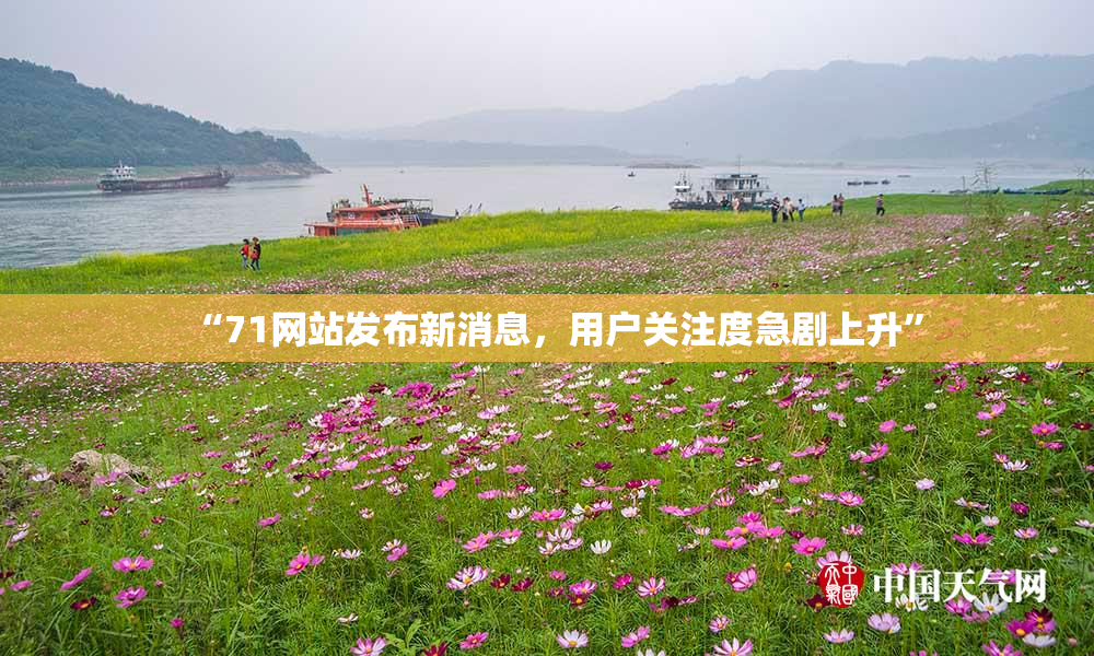 “71网站发布新消息，用户关注度急剧上升”