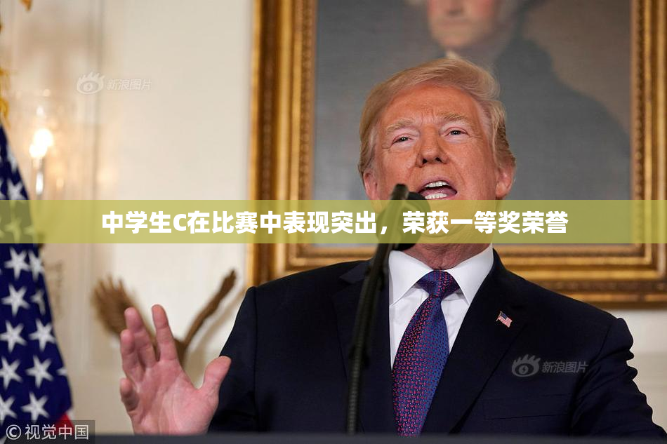 中学生C在比赛中表现突出，荣获一等奖荣誉