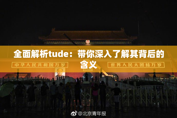 全面解析tude：带你深入了解其背后的含义