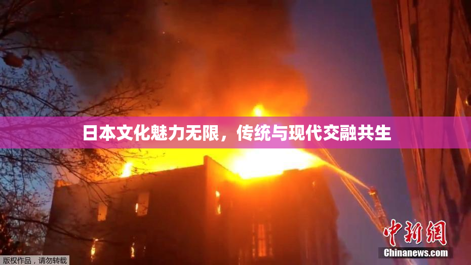 日本文化魅力无限，传统与现代交融共生
