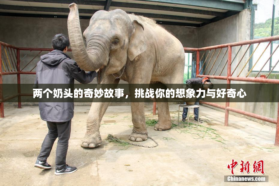 两个奶头的奇妙故事，挑战你的想象力与好奇心