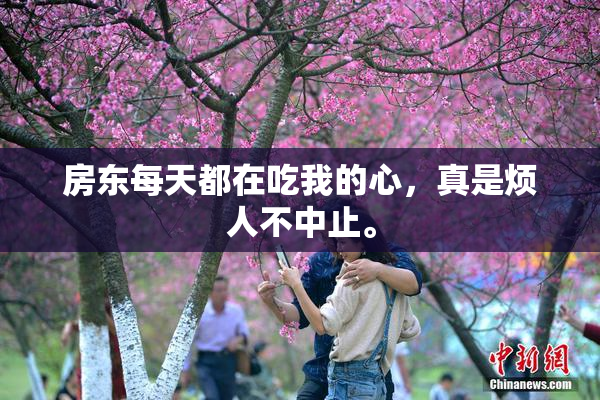 房东每天都在吃我的心，真是烦人不中止。