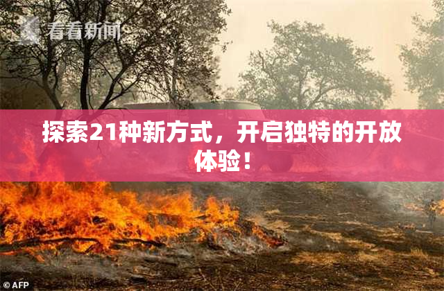 探索21种新方式，开启独特的开放体验！