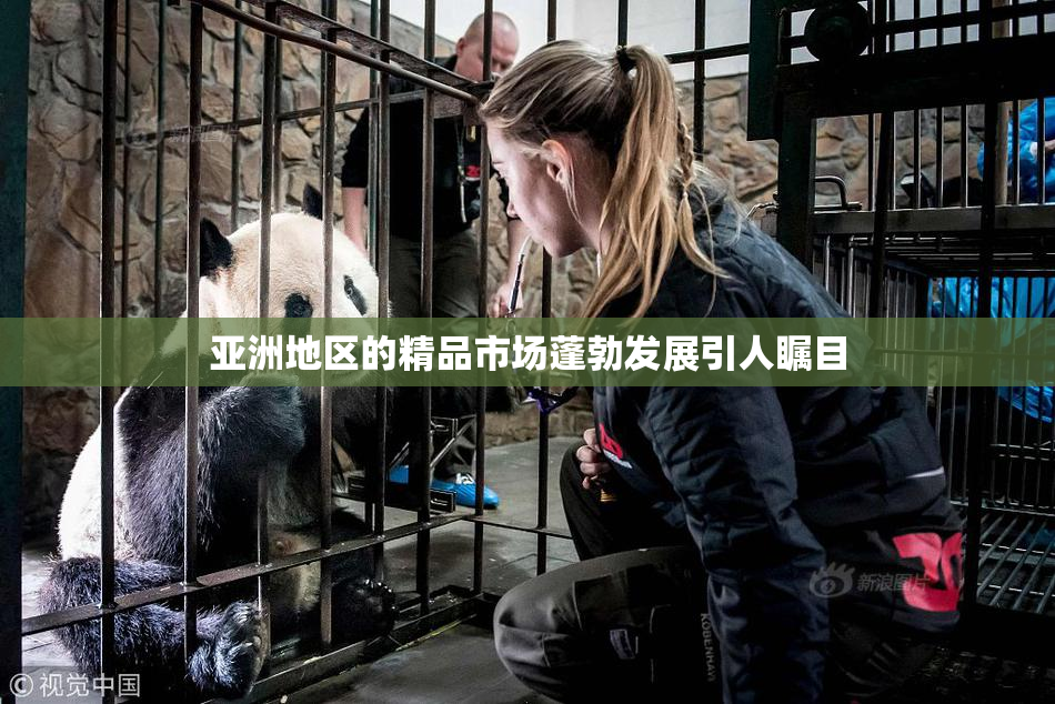 亚洲地区的精品市场蓬勃发展引人瞩目