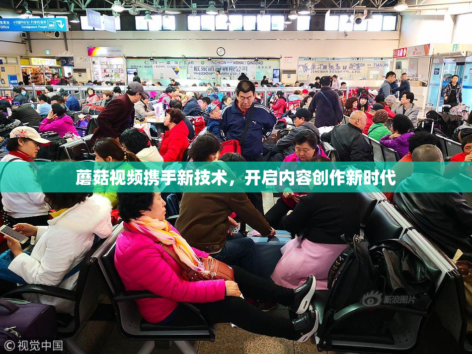 蘑菇视频携手新技术，开启内容创作新时代