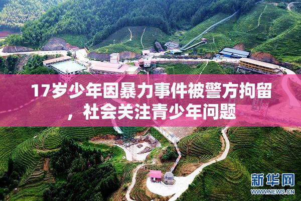 17岁少年因暴力事件被警方拘留，社会关注青少年问题