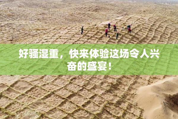 好骚湿重，快来体验这场令人兴奋的盛宴！