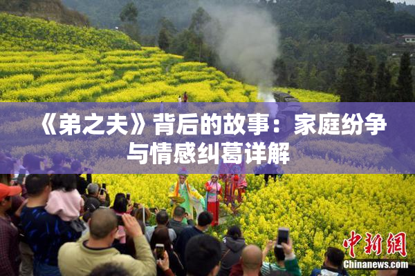 《弟之夫》背后的故事：家庭纷争与情感纠葛详解
