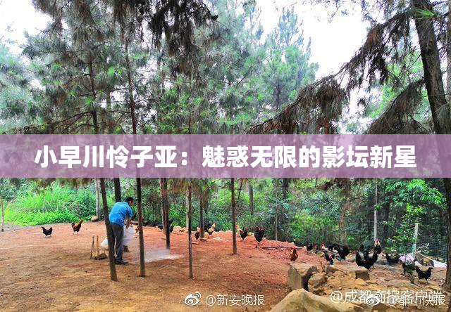 小早川怜子亚：魅惑无限的影坛新星