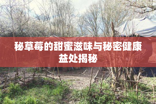 秘草莓的甜蜜滋味与秘密健康益处揭秘
