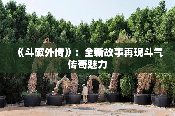 《斗破外传》：全新故事再现斗气传奇魅力
