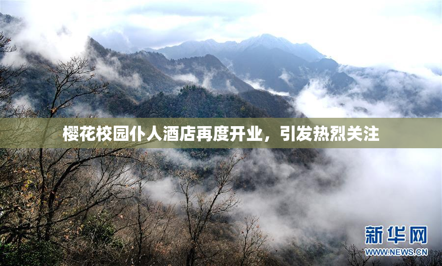 樱花校园仆人酒店再度开业，引发热烈关注