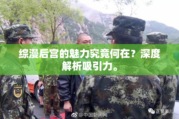 综漫后宫的魅力究竟何在？深度解析吸引力。