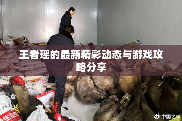 王者瑶的最新精彩动态与游戏攻略分享