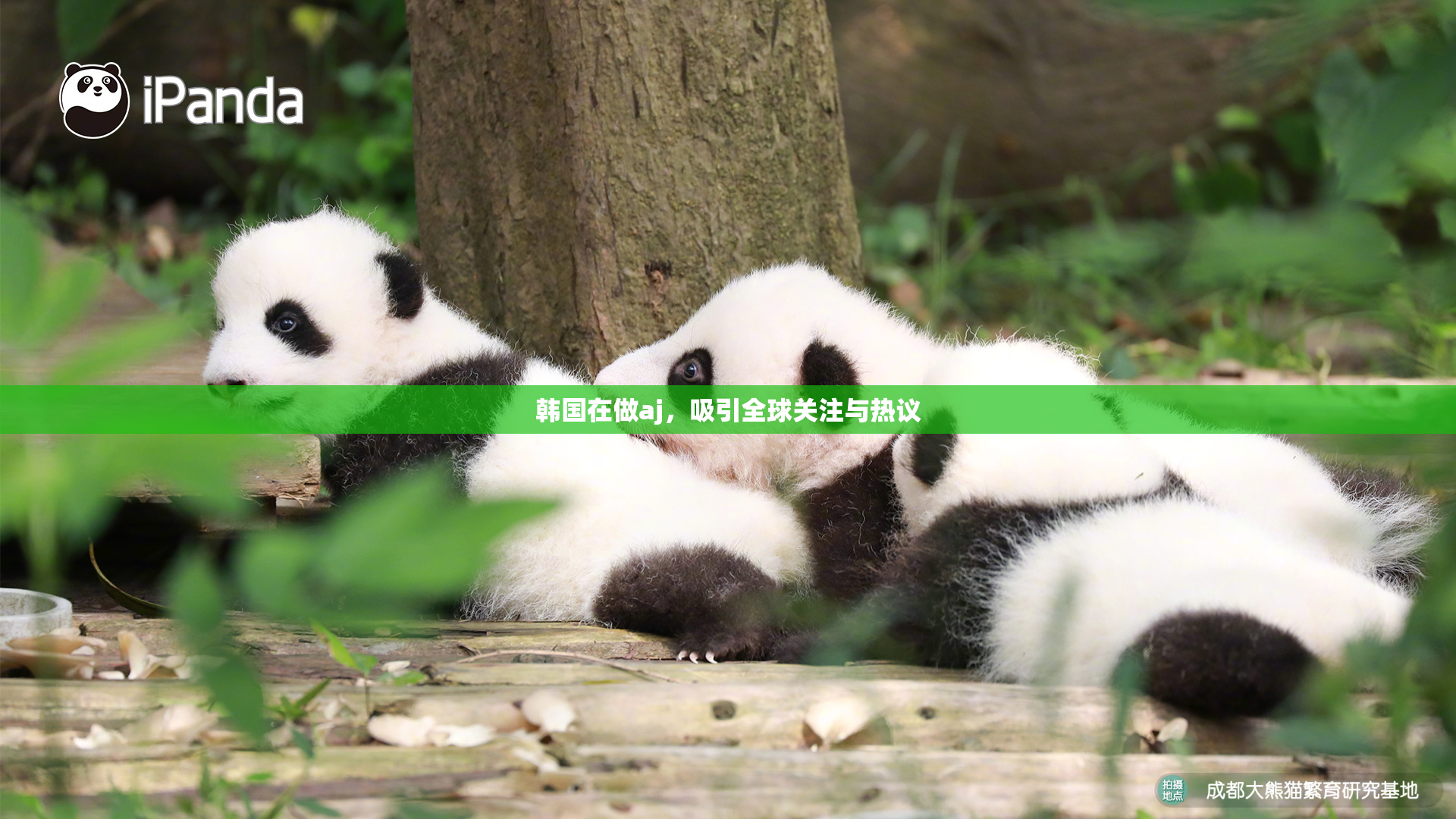 韩国在做aj，吸引全球关注与热议
